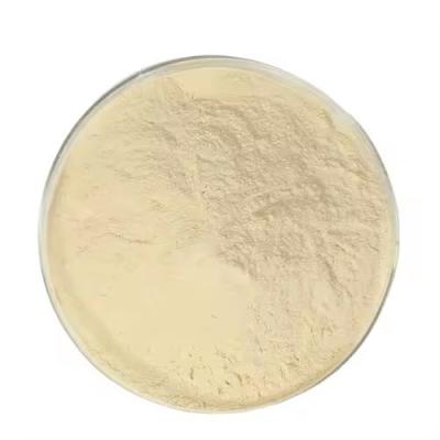 China Textile Printing Chemical Thickener Alginate Sodium E401 Food Grade for sale