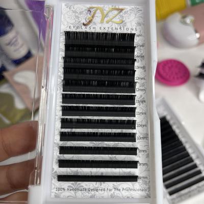 China Hot Selling C D CC DD Natural Dark Matte LOOP Ellipse Flat Lashes Natural Soft Flat Eyelash Extensions 8-15mm for sale