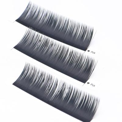 China Full Volume Eyelash Extension Natural Tapered Ring 0.03 Wick Eyelash Extension for sale