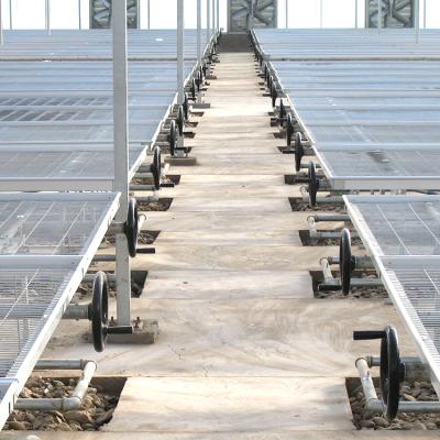 China Nusery Greenhouse Nursery And Growing Rolling Table Bench for sale