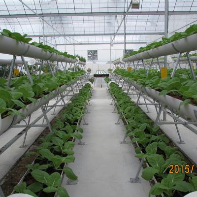 China China Manufacturer Vertical Hydroponics Growing System of Leafy Vegetable (eg Lettuce) Production for sale