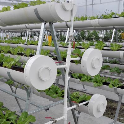 China Commercial Greenhouse Vertical of Leafy Vegetable (e.g. Lettuce) Production Hydroponic Grow Systems for sale