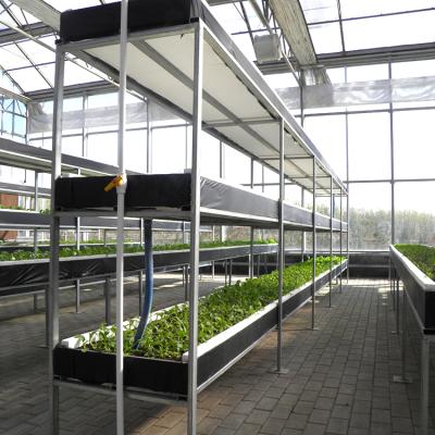 China Leafy Vegetable (eg Lettuce) Hydroponic Growing Systems Vertical For Greenhouse for sale