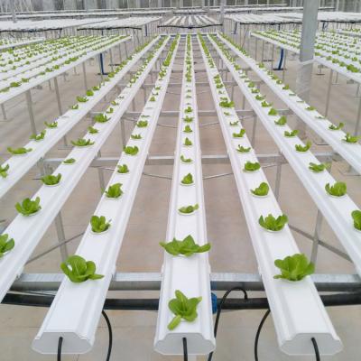 China Greenhouse Aquaponics from the production of leafy vegetable (eg lettuce) grow bed movable for sale for sale