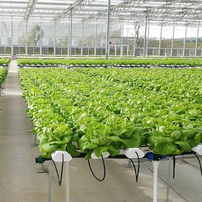 China Leafy Vegetable (eg Lettuce) Moving Seed Bed Hydroponic Rolling Bench for sale