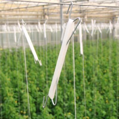 China Corrosion-Resistance Agricultural Greenhouse Galvanized Steel Tomato Hook for sale