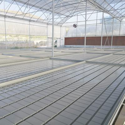 China Nusery Ebb And Flow Tables Growing Greenhouse Benches for sale