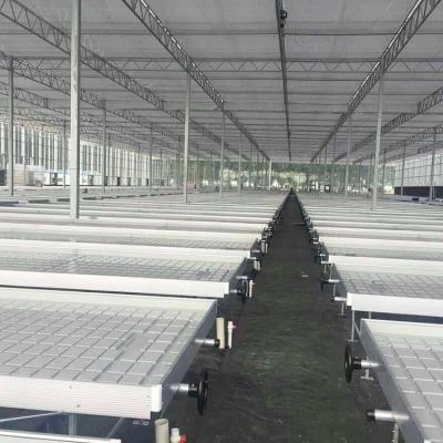 China Nusery High Quality Ebb and Flow Rolling Benches for sale