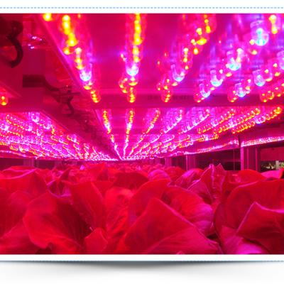 China Waterproof Medical Greenhouse Automatic Lighting System For Different Plants for sale