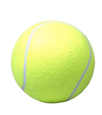 China 24cm Big Stocked Inflatable Tennis Pet Ball Toy With Bicycle Pump For Dog Play for sale