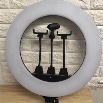 Chine ZB-F488 Aluminum Plastic Live Light 55cm/22inch LED Selfie Ring Light Dimmable LED Ring Lamp Photo Video Camera Alloy+ Fill for Live YouTube à vendre