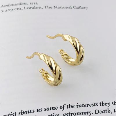 China Fashionable Abstract Jewelry Wholesale 925 Sterling Silver Trendy Earrings Luxury Jewelry For Women Girl Gift for sale