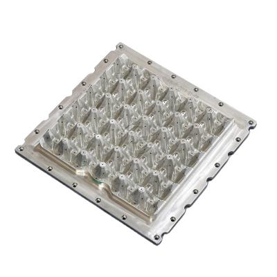 China Hotels For Different Material And Plastic Material Size Aluminum Egg Tray Model for sale