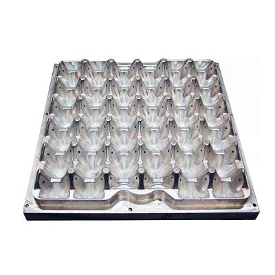 China Paper Pulp Egg Tray Molding Waste Machine Pulp Molding Egg Tray Paper Recycling Carton Making Plastic Mold for sale