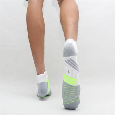 China New Style Antibacterial Breathable Performance Comfortable Cushioning Low Cut Ankle Sports Running Sports Socks for sale