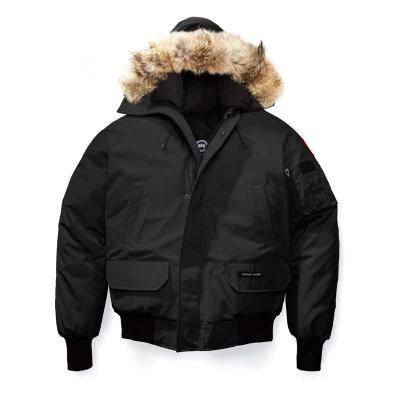 China Free Shipping E01 Goose Design Windproof Thermal Outwear Canada Warm Men's Bomber Winter Down Jacket Coat for sale