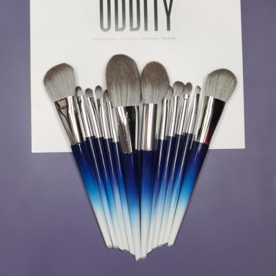 China Other Latest Makeup Brushes Set Modern Custom Makeup Brush Kit Blue Makeup Brush Set for sale