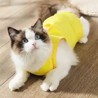 China New Sustainable Pet Vest Breathable Pure Cotton To Keep To Heat Anti - And Anti - To Lick To Pet Changing Clothing for sale