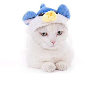 China Hot Sale Super Cute Pet Costume Stocked Fashion Pet Apparel Pet Apparel Accessories for sale