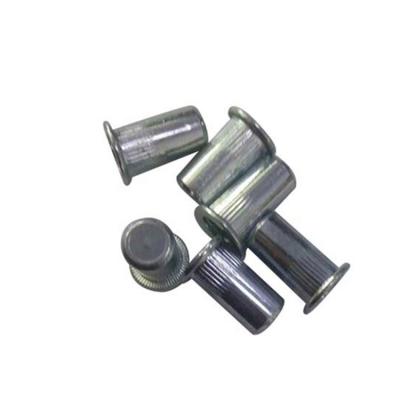 China Heavy Industry King Of Quantity Blind Hole Rivet Nut Rivet Nut Black Nylon for sale