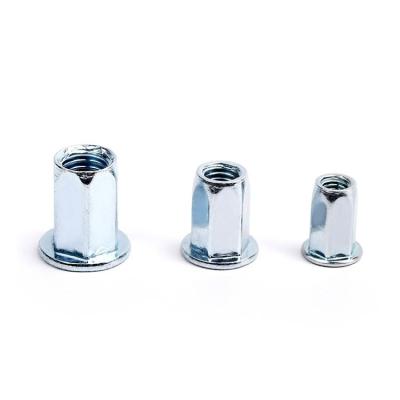 China Heavy Industry Finely Processed Hex Rivet Nut Insert Rivet Blind Nut for sale