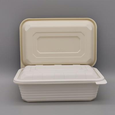 China Disposable Eco-Friendly Biodegradable Eco-Friendly Disposable Food Packaging Takeaway Food Box Biodegradagle Cornstarch Take-Out Containers for sale