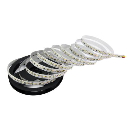 China Adjustable LANDSCAPE Color Temperature SMD2216 LED Lights Strip DC12V LED Strip Light for sale