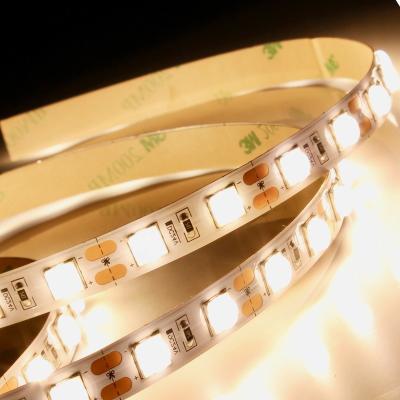 China Factory Direct CRI80 Dimmable 5m DC24V LED 6060 LANDSCAPE Flexible Strip Lights With Lens for sale