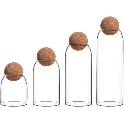 China New Arrival Sustainable Mouth Blown Clear Glass Storage Jar With Cork Stopper for sale