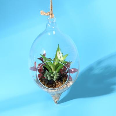 China Creative Eco-Friendly Hanging Glass Vase Hanging Potted Hydroponic Clear Glass Vase Crafts Europe Plants for sale