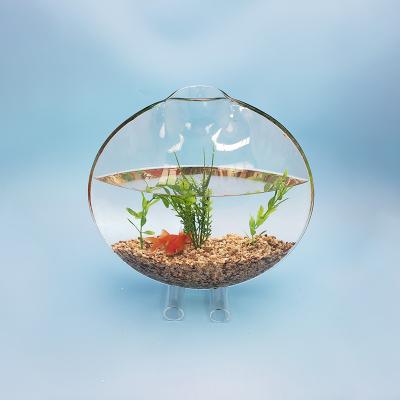 China Round desktop eco-friendly glass plant Europe aquarium flower pot hydroponic creative home decoration open vase for sale