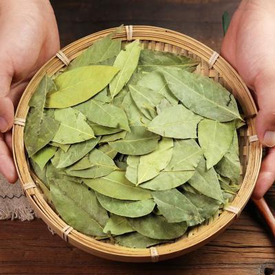 China ZZH 100% Dried Bullets Natural Precious Berry Leaves Herbs Berry Leaves Turkish Laurel Leaves for sale