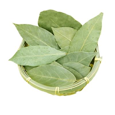 China ZZH Herbs & Spices Dried Single Myrcia Price Raw & Dried Style Bay Leaf Bay Leaves for sale