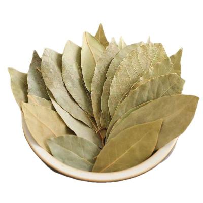 China ZZH Dried Spices Wholesale Cheap New Culture Bay Leaf To Food Seasonings 100% Raw Bay Leaf Herb Pure Bay Leaf Spice for sale