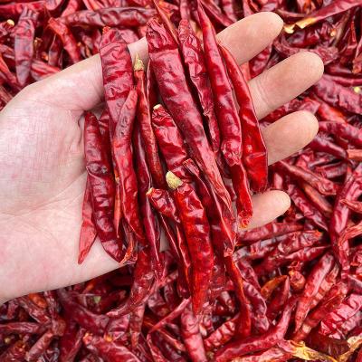 China Wholesale Natural Single Spice Dry and ZZH Herb Dried Red Chilli Pepper Ghost Hot Spicy Chilli Pepper for sale