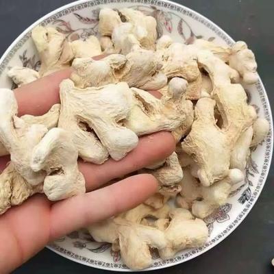 China High Quality Dry ZZH Dried Fresh Ginger Market Price Wholesale Ginger Buyers For Export for sale