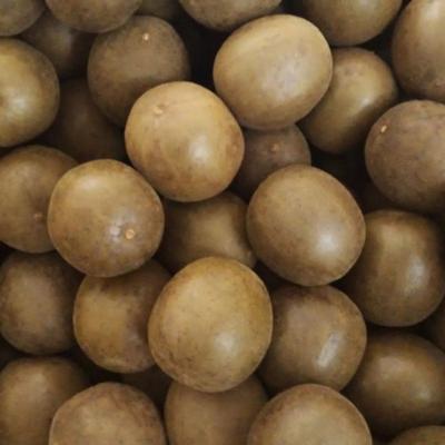 China ZZH Chinese Dry Monk Fruit Factory Wholesale Customized High Nutritional Value Siraitia Grosvenorii Monk Fruit for sale