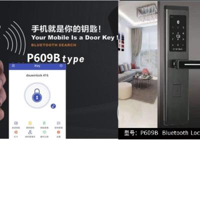 China Modern smart mobile digital wifi APP touch screen Airbnb hotel fingerprint remote control lock for sale