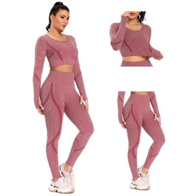 China Women Gym Wear Breathable Sport Suits High Stretchy Yoga Pants Bra 2pcs Women Sports Long Sleeve Seamless Yoga Set for sale