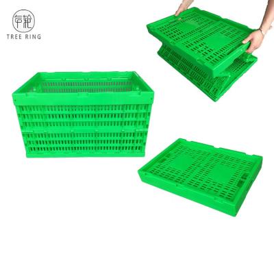 China Mesh Plastic Collapsing Folding Mesh Green Color Food Fruit Vegetable Storage Crate Custom Size Logo pp for Moving for sale