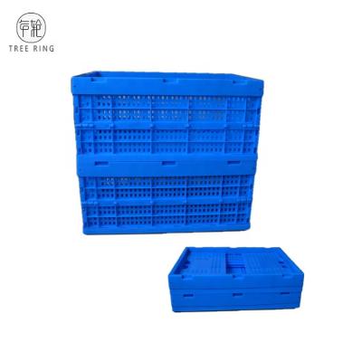 China 590*395*280 Mesh Collapsible Plastic Foldable Vegetable Trash Bin For Storing Milk, Potato, Eggs, Plastic Vegetable Crates for sale