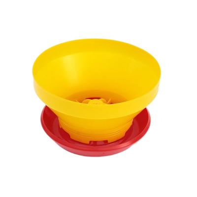 China Chicken factory direct wholesale pigeon bird quail feeder cup chicken for day old chicken for sale