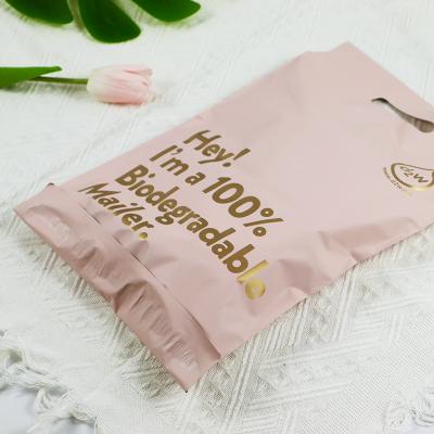 China 40mm-50mm Lips PE D2W Custom Biodegradable Poly Mailers With Hand for sale