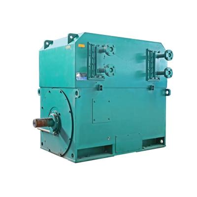 China YKS 500-4-1120KW 6600V Totally Enclosed Water Cooled High Voltage Three Phase IP55 AC Motor for sale