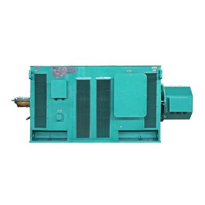 China Year 400-6-280kw 6kv Totally Enclosed Slip Ring Squirrel Cage Rotor Electric High Voltage AC Motor for sale