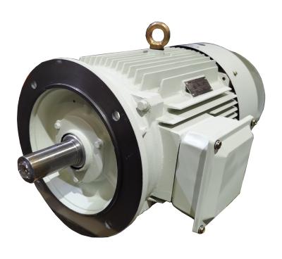 China YE3-315-4 185kW IEC 380V High Efficiency AC Three Phase Totally Enclosed Electric Motor for sale