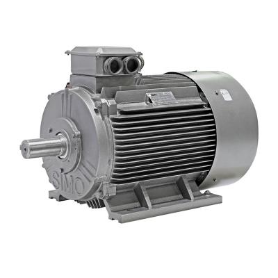 China Totally Enclosed Yard 200L-4/2- 26kw 30kw 380V Low Voltage IE2 Two Speed ​​AC Motor for sale