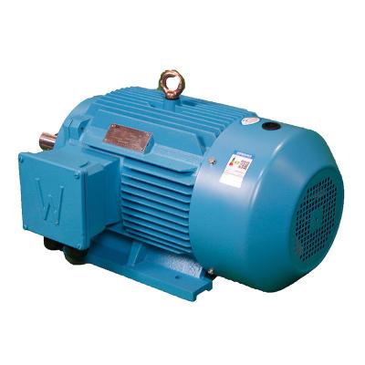 China Totally enclosed IN STOCK YE3- 250-2 55kW 37KW high efficiency high power china electric motor for sale