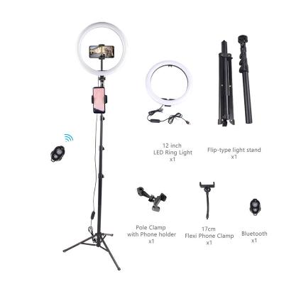 China PORTABLE Remote Control Contact Ring Light With Tripod Net Multifunctional Live Spot Fill Light 12 Inch Red for sale