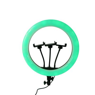 China 14 Inch RGB Emission Fill Light PORTABLE Portable Foldable Rechargeable Selfie Ring Light Mobile Phone Live Equipment for sale